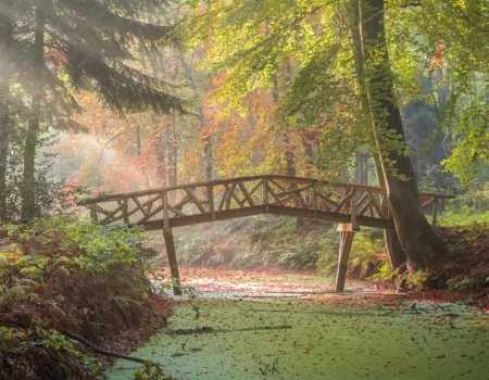 Brug Slochterbos, foto Wilco van der Laan